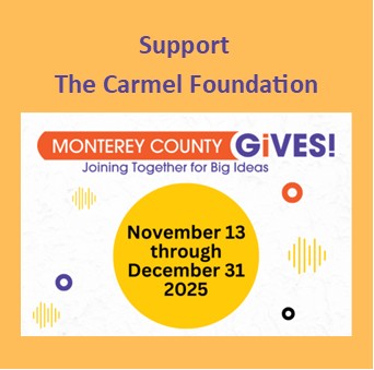 Interactive square, special presentation image